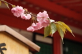 生田神社