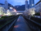 生田川の夜桜