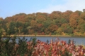 大沼の紅葉