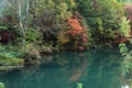 エメラルドに映る紅葉