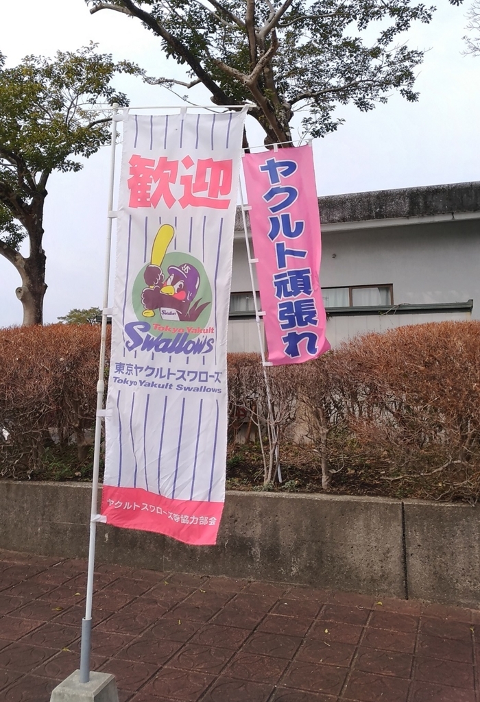 f:id:shibata_pro:20180315172120j:plain f:id:shibata_pro:20180315172120j:plain