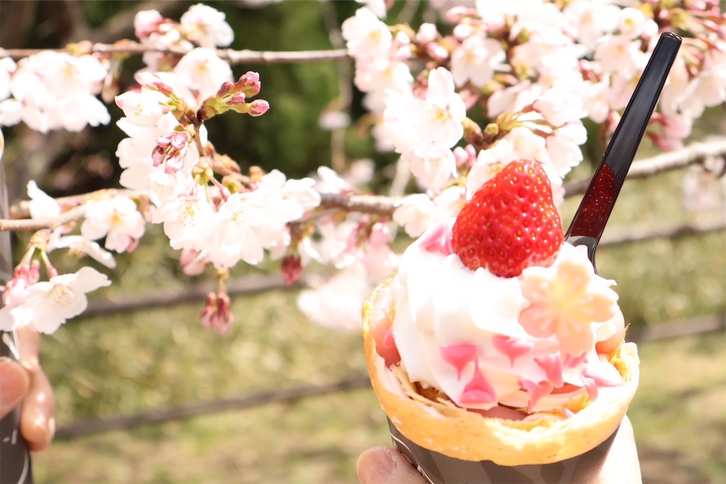 f:id:shibatawadoukai:20250409131823j:image