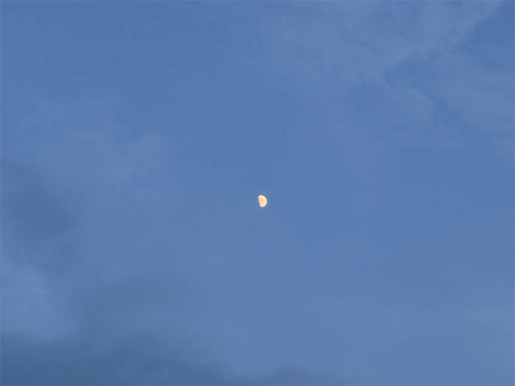 f:id:shibatawadoukai:20250704195027j:image
