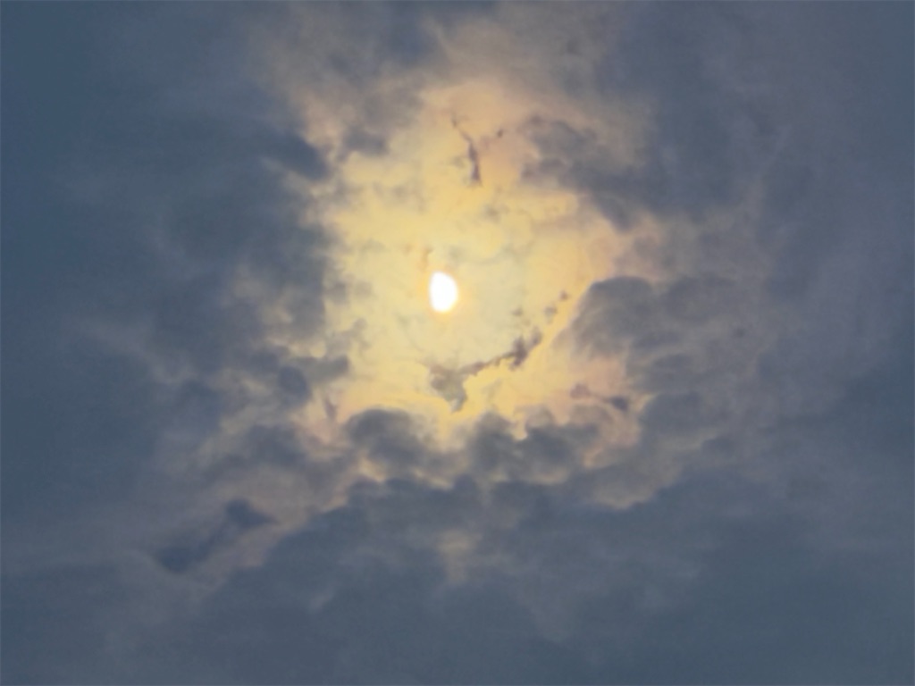 f:id:shibatawadoukai:20250704195036j:image