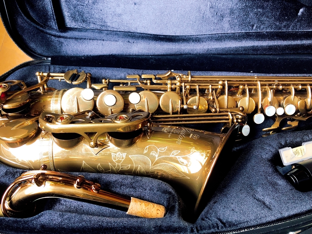 f:id:shibatch:20181213095531j:plain