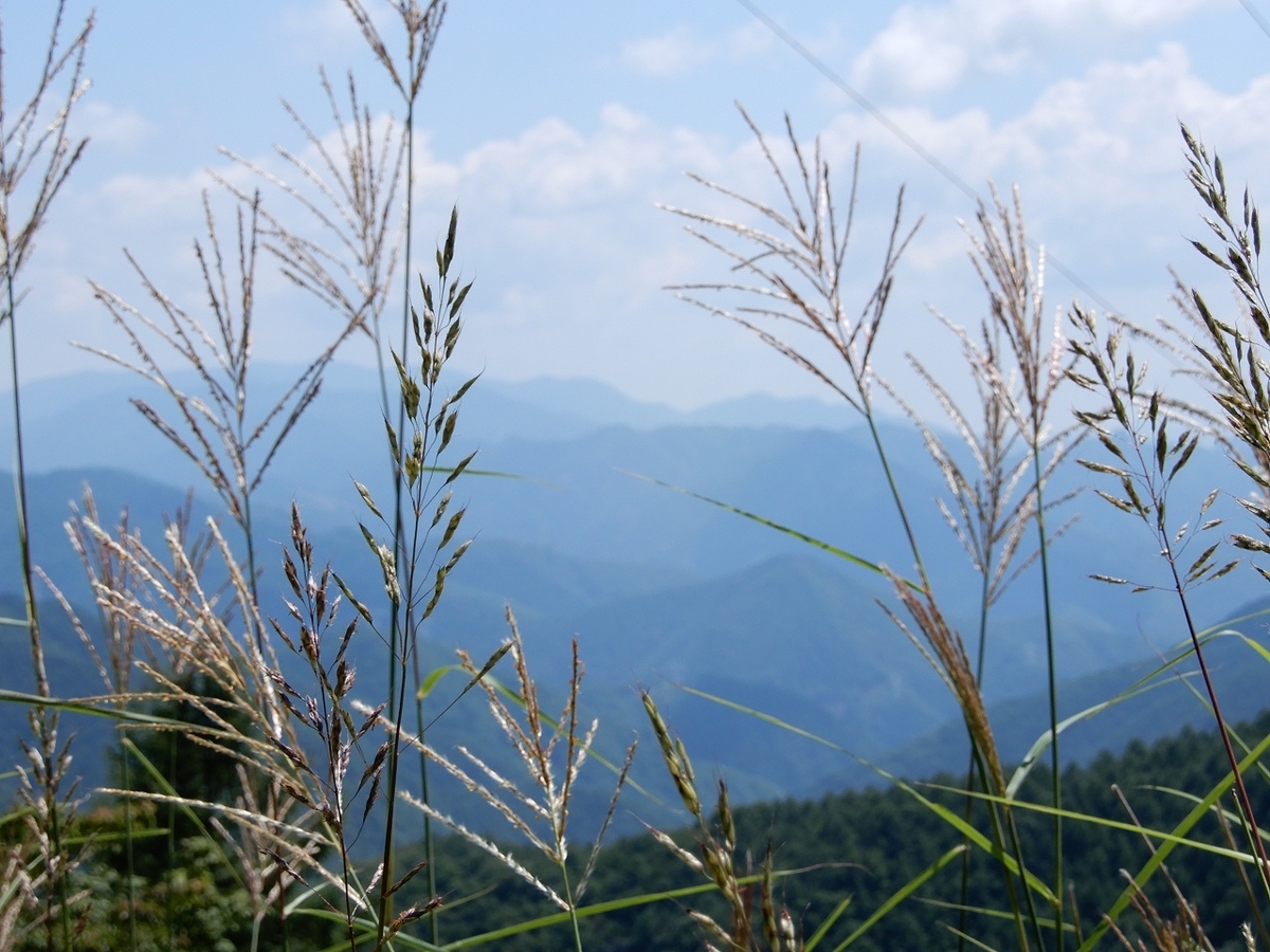 十石峠