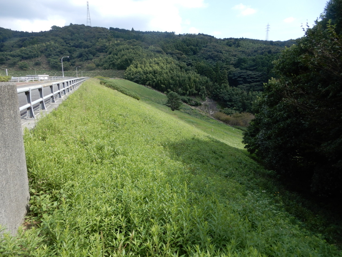 内日ダム