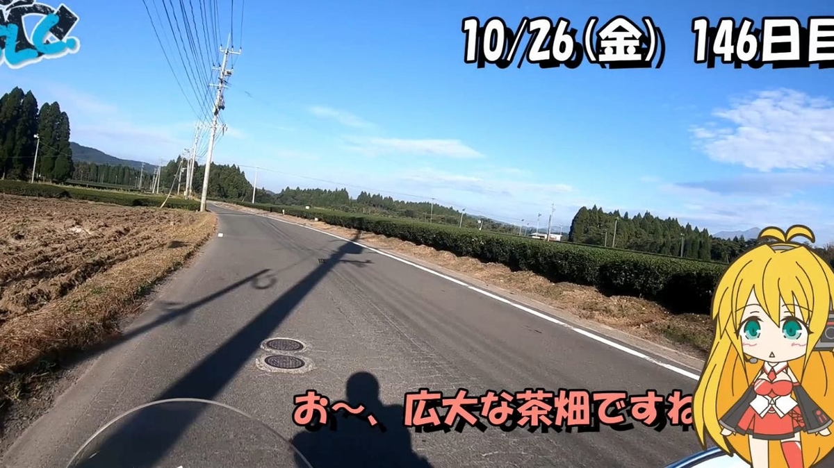 f:id:shibatty:20201105141948j:plain