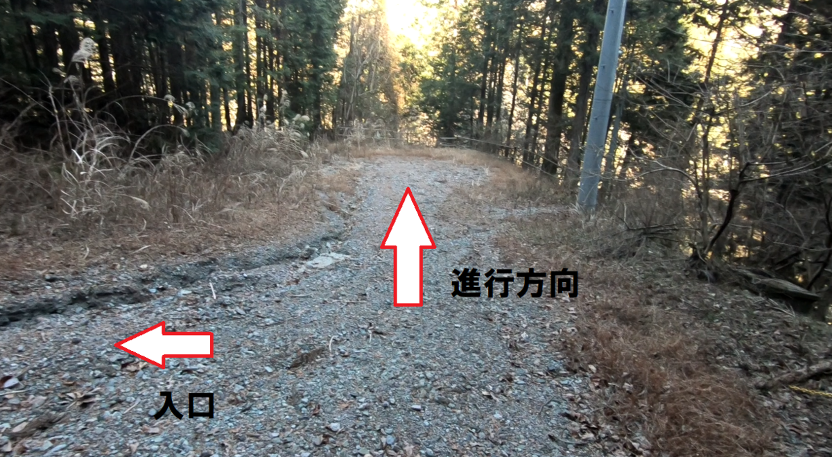 f:id:shibatty:20220131180726p:plain