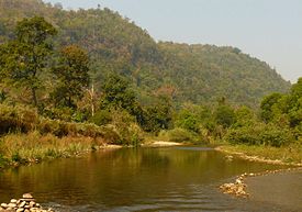 タイの世界遺産・トゥンヤイ－フワイ・カーケン野生生物保護区