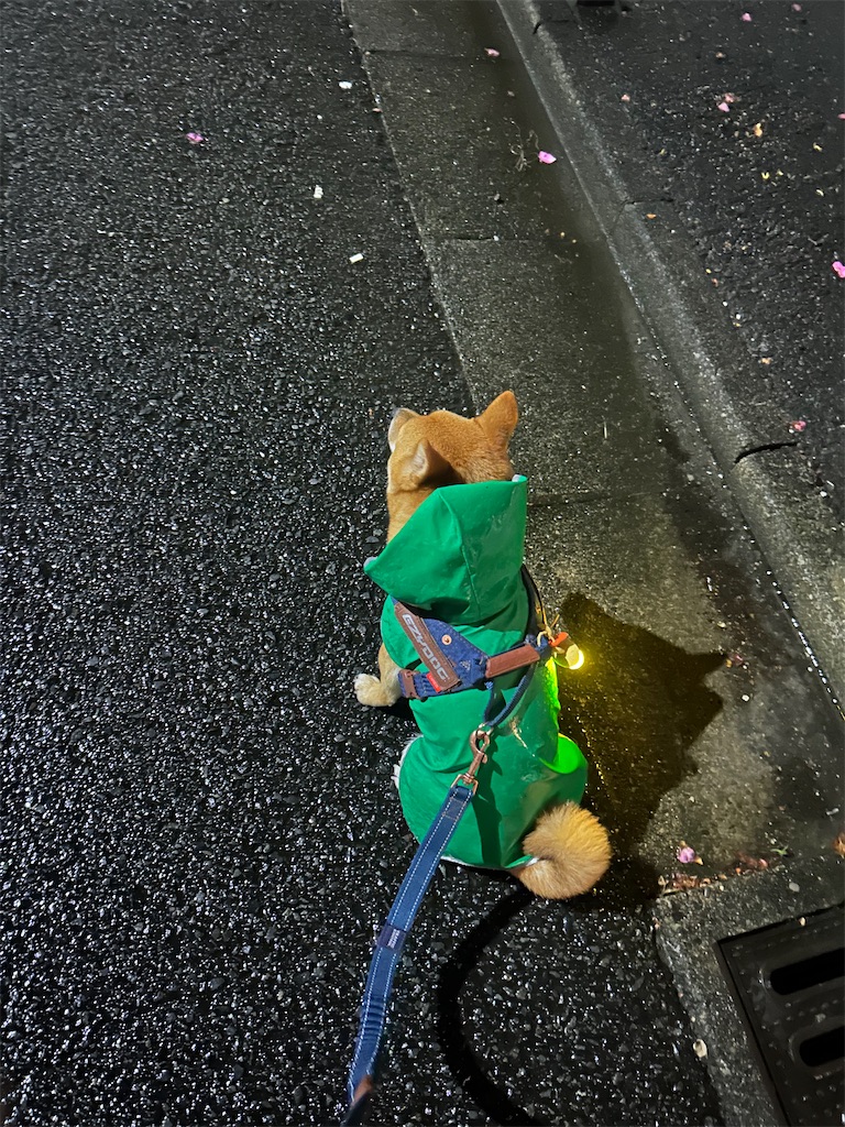 f:id:shibazo2022:20241101085705j:image f:id:shibazo2022:20241101085705j:image