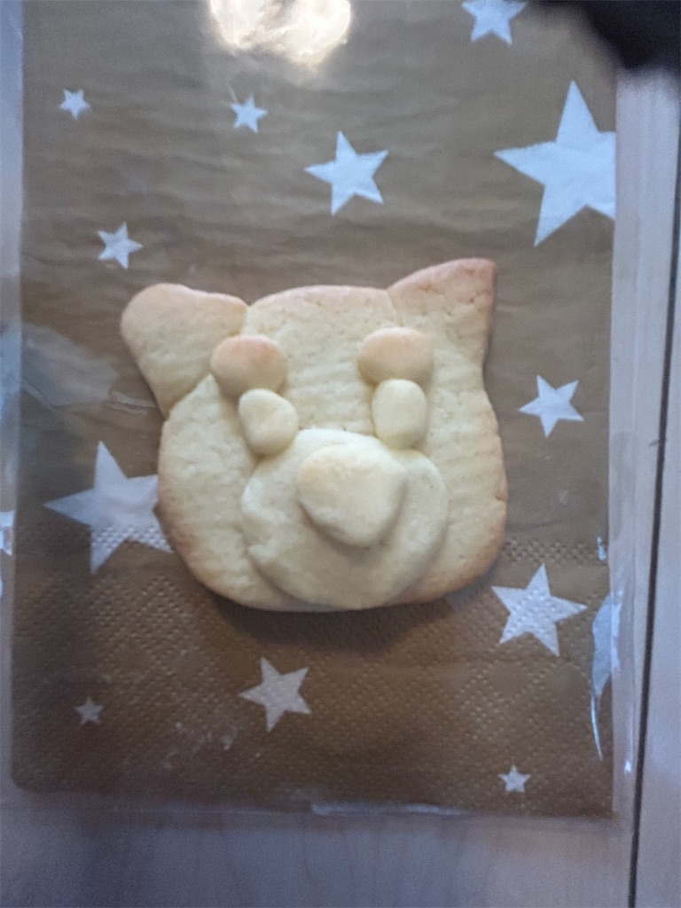 f:id:shibazo2022:20241213210501j:image f:id:shibazo2022:20241213210501j:image