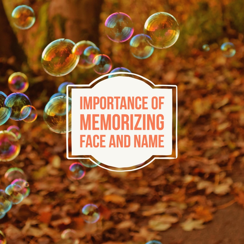 f:id:shibe97:20170417223901j:plain f:id:shibe97:20170417223901j:plain