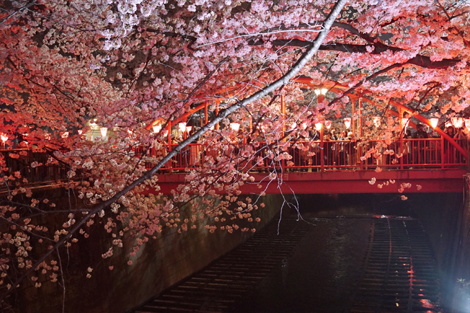 f:id:shibuhikky:20180329000108j:plain