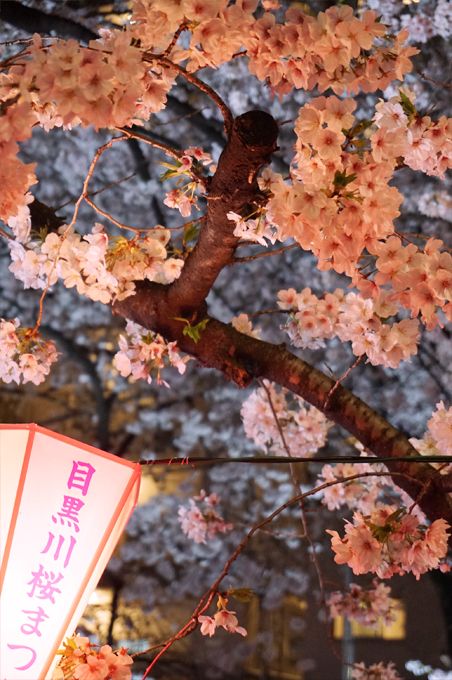 f:id:shibuhikky:20180329000139j:plain