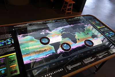 f:id:shibusawa_rocket:20140517060920j:image f:id:shibusawa_rocket:20140517060920j:image