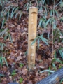 20121206105944