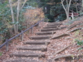 20121206110235