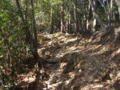 20121206110547