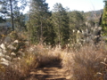 20121206122451