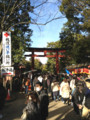 [埼玉県][さいたま市大宮区]武蔵国一宮氷川神社に初詣