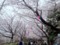 花見客にあふれかえる飛鳥山公園