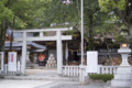 [山梨県][甲府市]武田神社（躑躅ヶ崎館跡） 拝殿