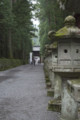 [栃木県][日光市]