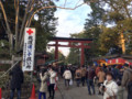 [埼玉県][さいたま市大宮区]武蔵国一宮 氷川神社