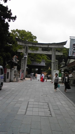 f:id:shichan3:20090530165725j:image