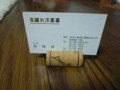 20100228220613