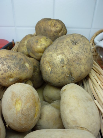 f:id:shichan3:20100630070124j:image