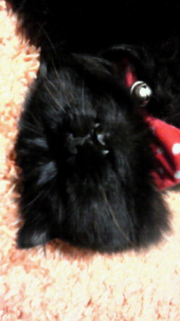 f:id:shichan3:20110705201400j:image