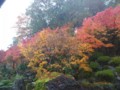 20111119132814