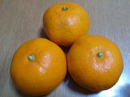 f:id:shichan3:20111130192111j:image