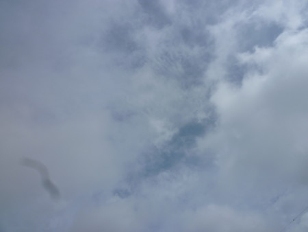f:id:shichan3:20120701085407j:image