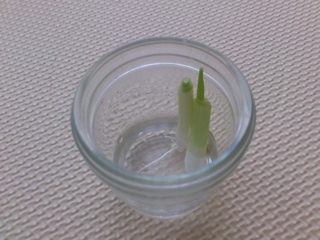f:id:shichan3:20120816080032j:image