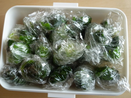 f:id:shichan3:20130304145510j:image