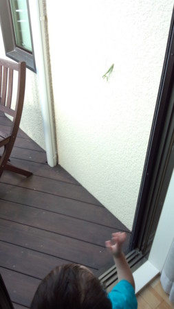 f:id:shichan3:20130822073601j:image