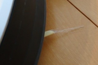 f:id:shichan3:20210908140255j:plain