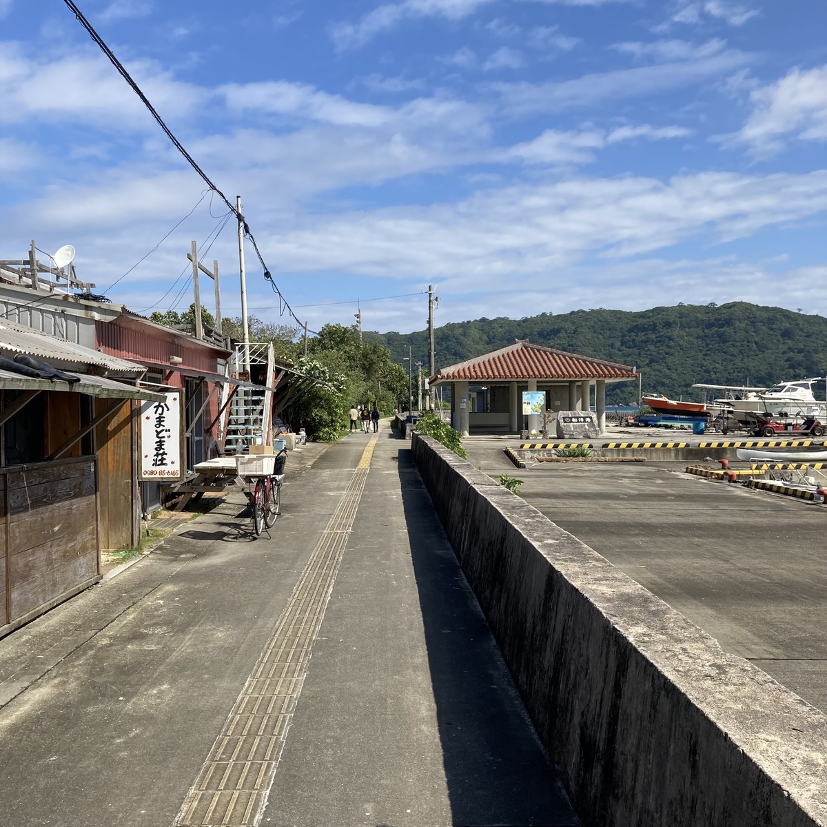西表島08
