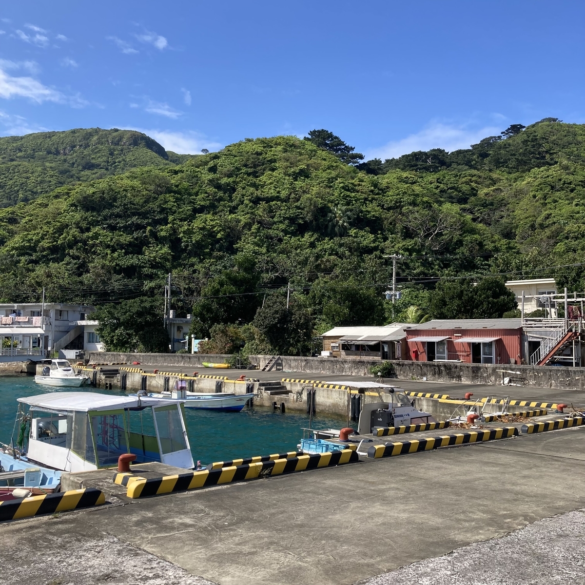 西表島09