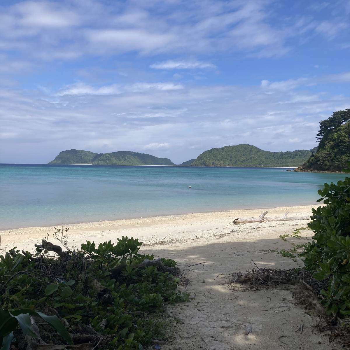 西表島10