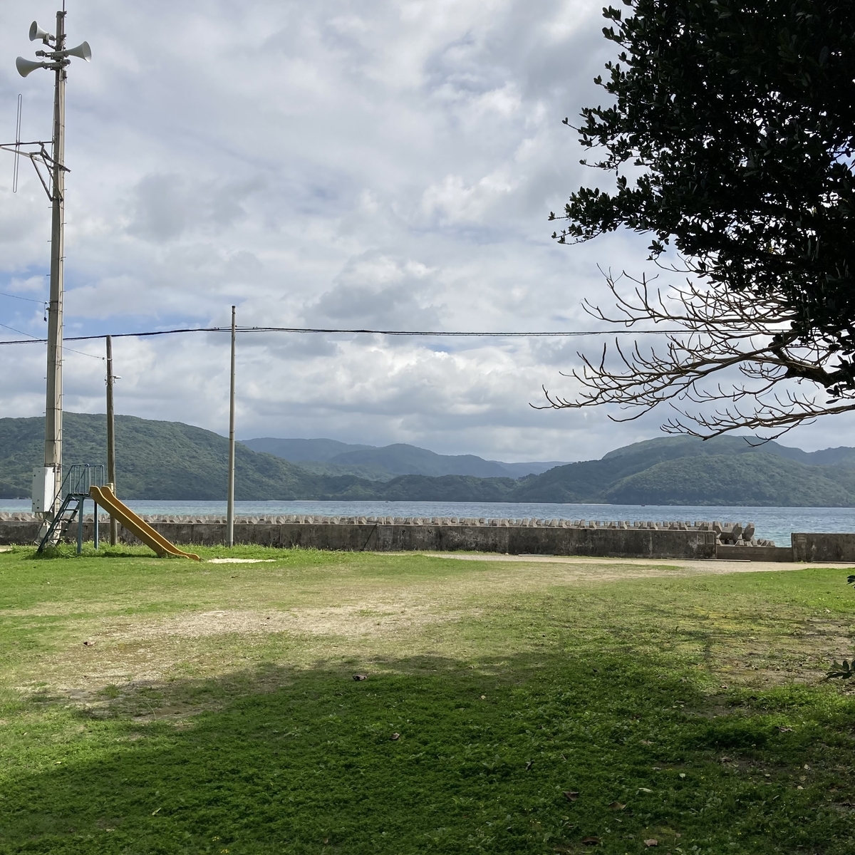 西表島12