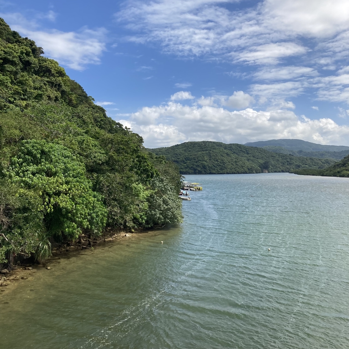 西表島13