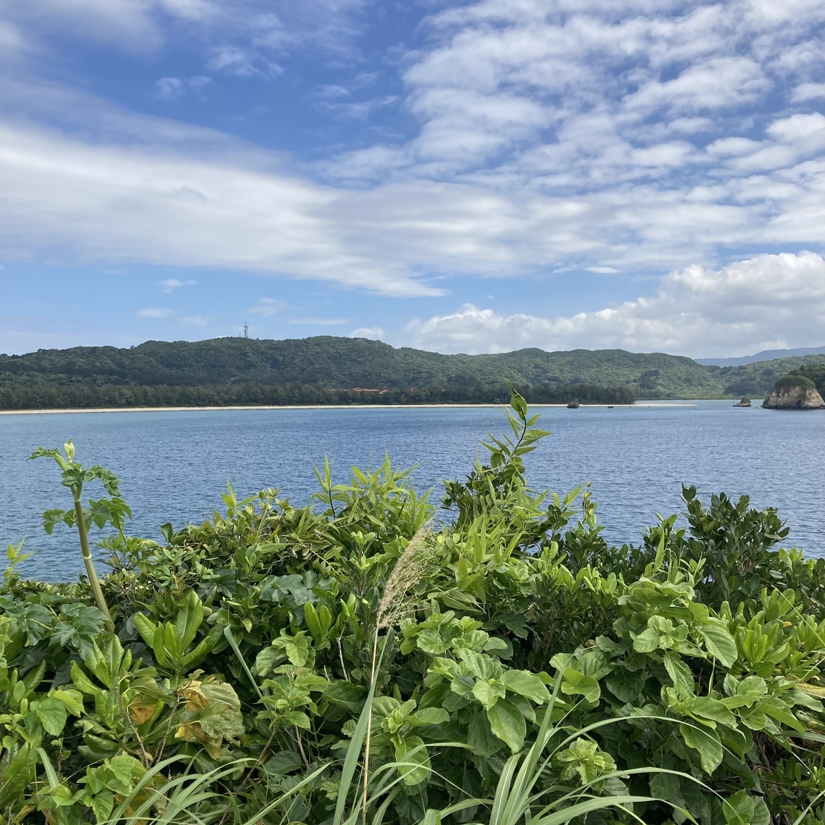 西表島14