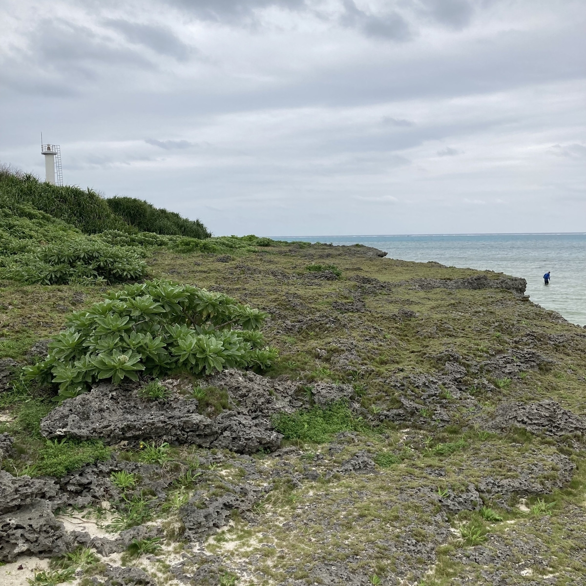 黒島05
