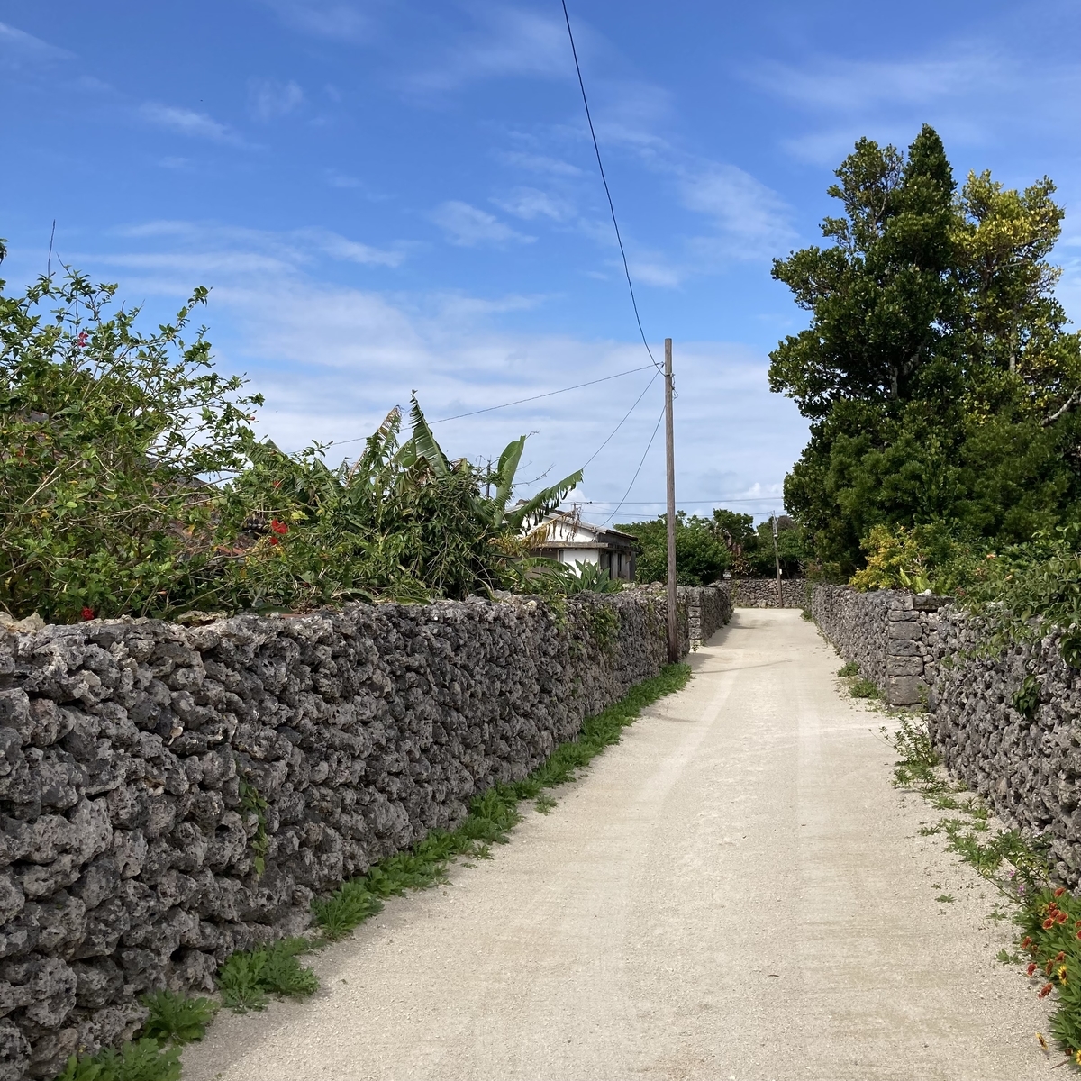 竹富島06