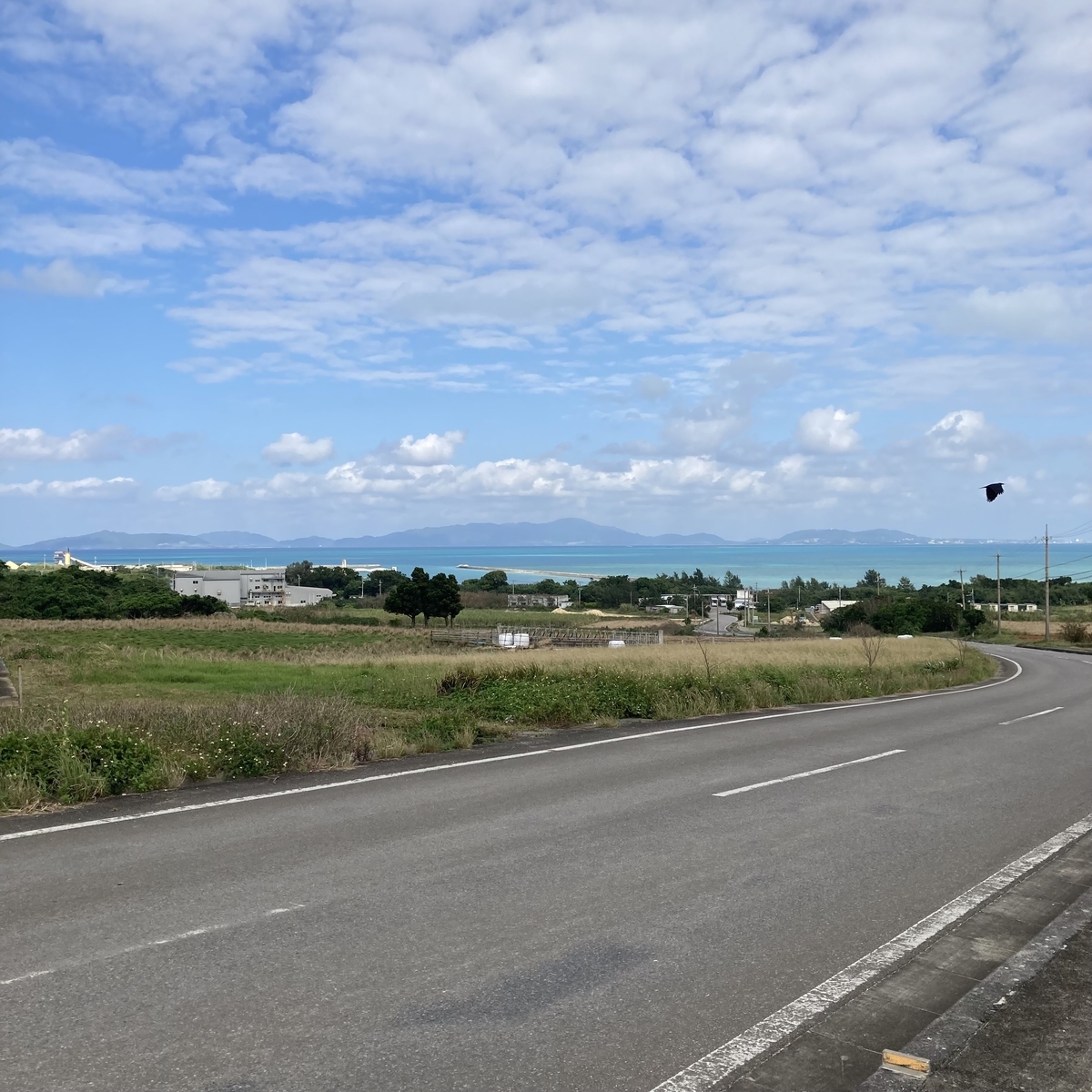 小浜島09