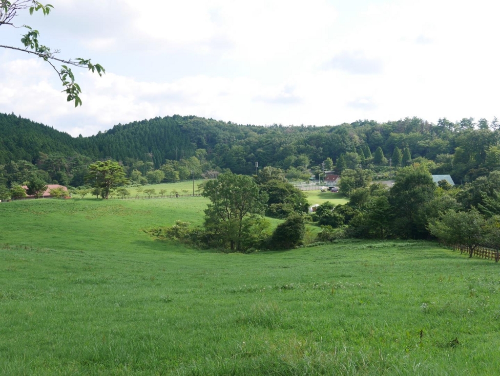 f:id:shidoromodoki:20171214184017j:plain